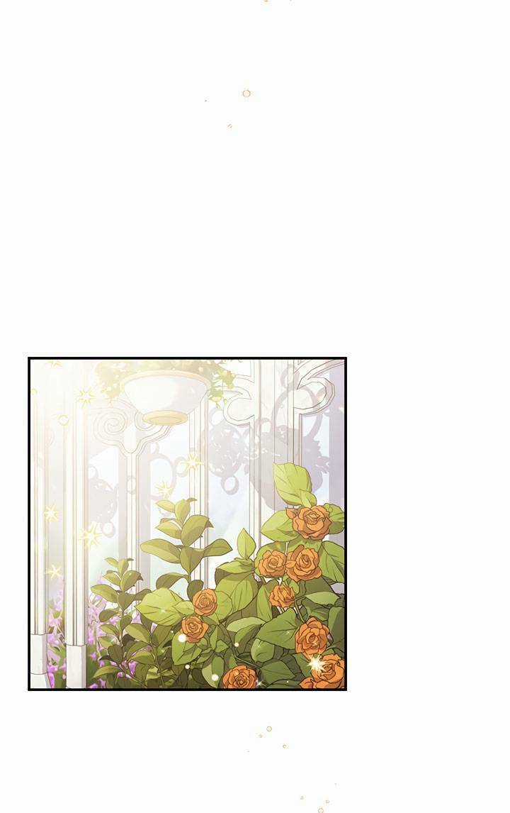 May Mắn Hay Bất Hạnh Chapter 41 trang 2