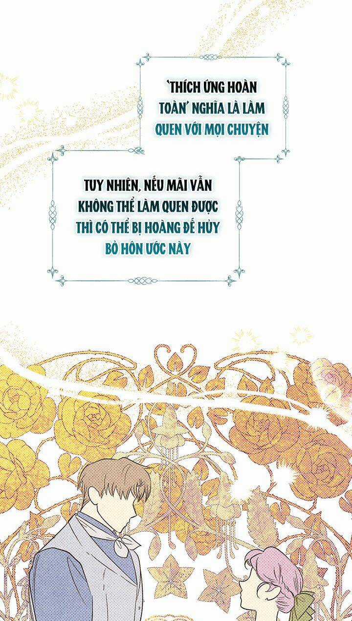 May Mắn Hay Bất Hạnh Chapter 80 trang 27