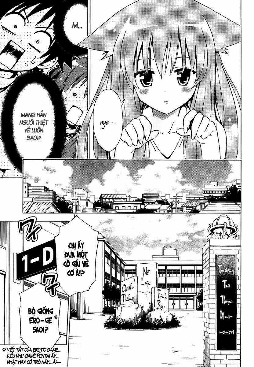Mayoi Neko Overrun! Chapter 1 trang 16