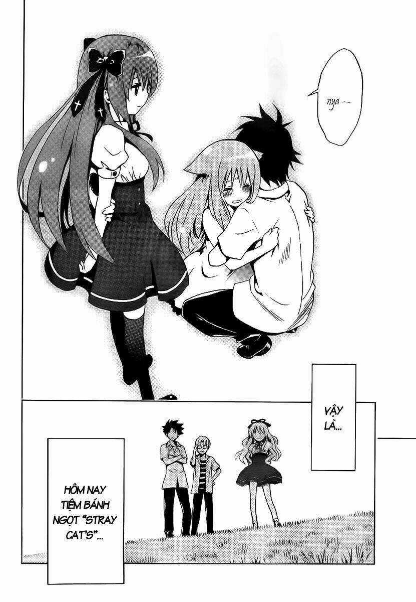 Mayoi Neko Overrun! Chapter 1 trang 65