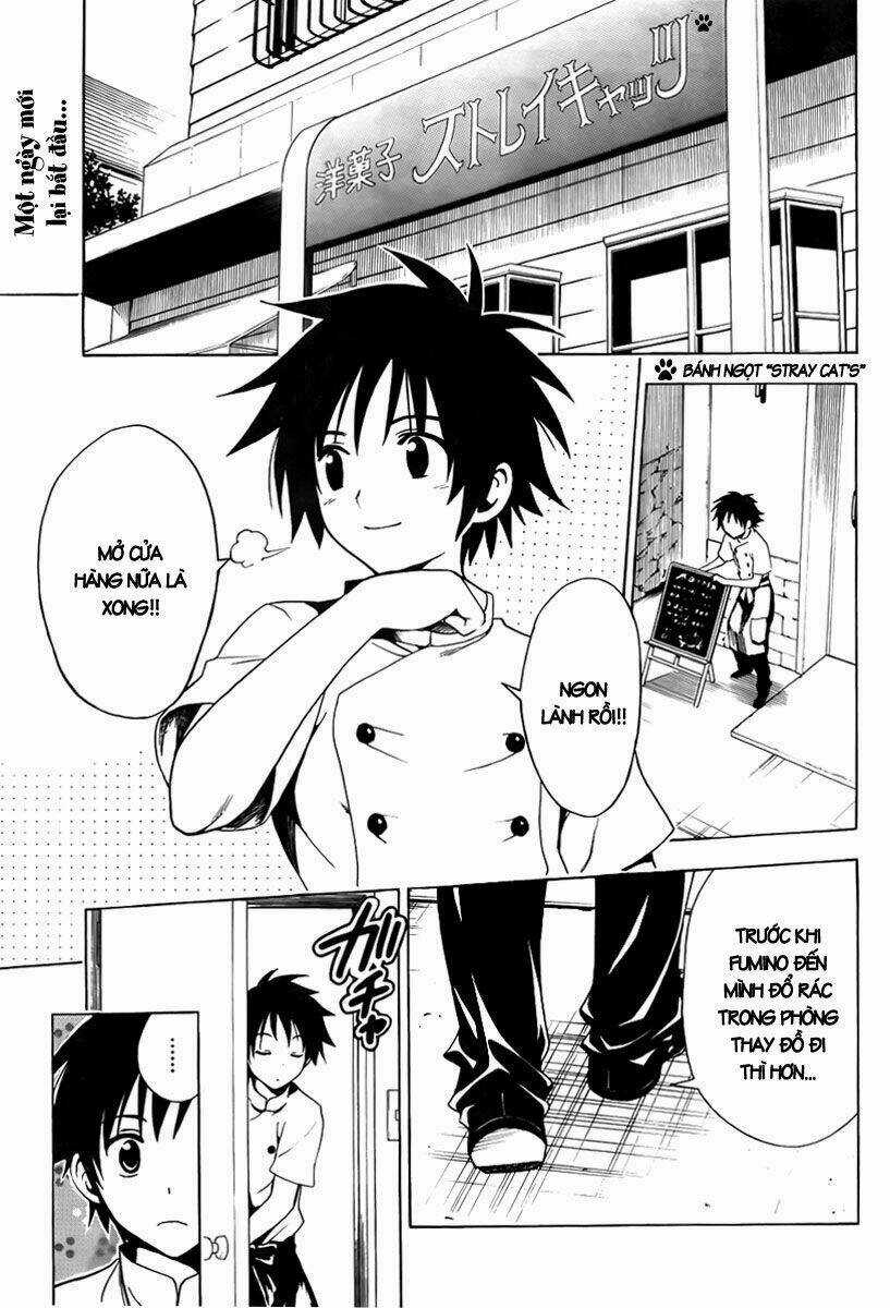 Mayoi Neko Overrun! Chapter 1 trang 8