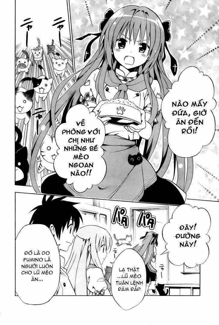 Mayoi Neko Overrun! Chapter 2 trang 37