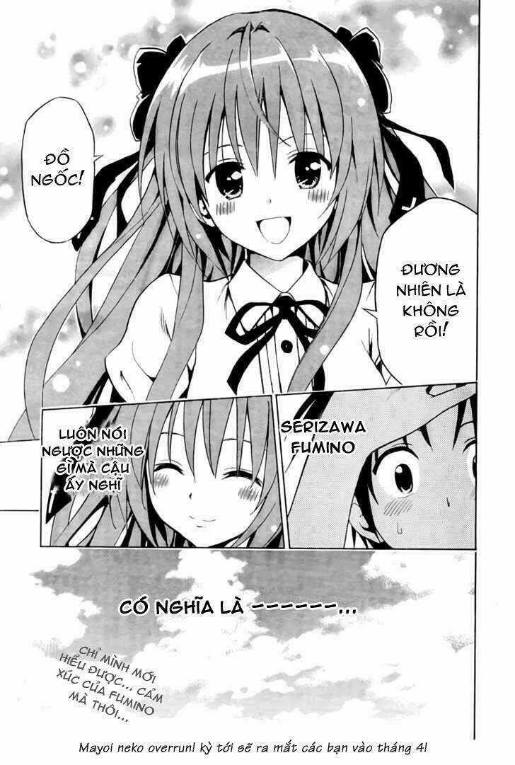 Mayoi Neko Overrun! Chapter 2 trang 44