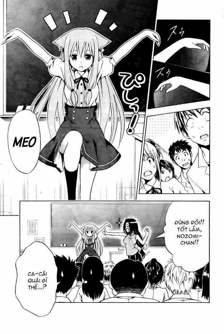 Mayoi Neko Overrun! Chapter 2 trang 7