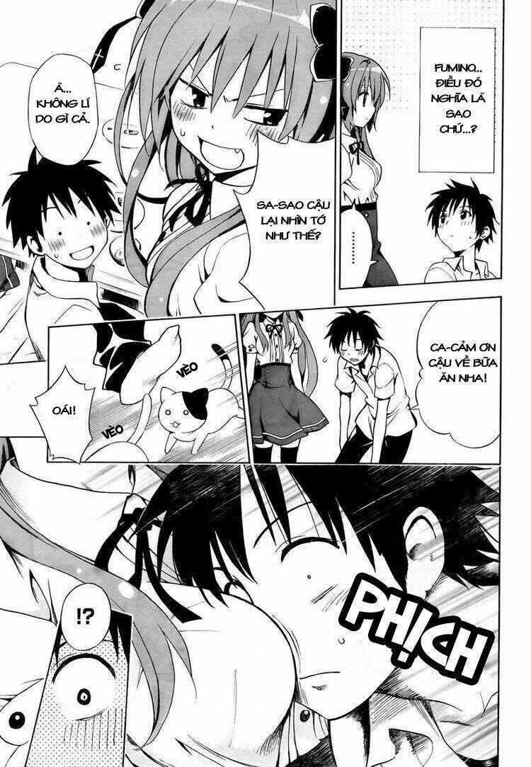 Mayoi Neko Overrun! Chapter 3 trang 11