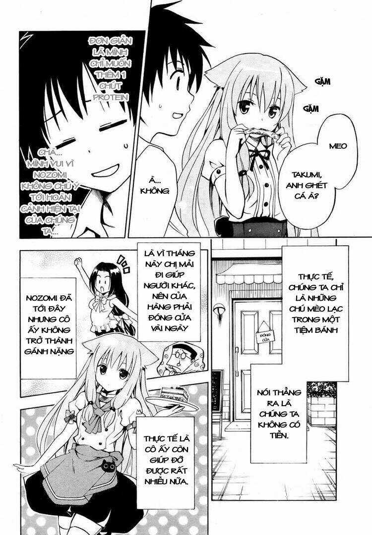 Mayoi Neko Overrun! Chapter 3 trang 8