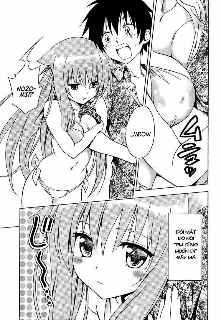 Mayoi Neko Overrun! Chapter 4 trang 11