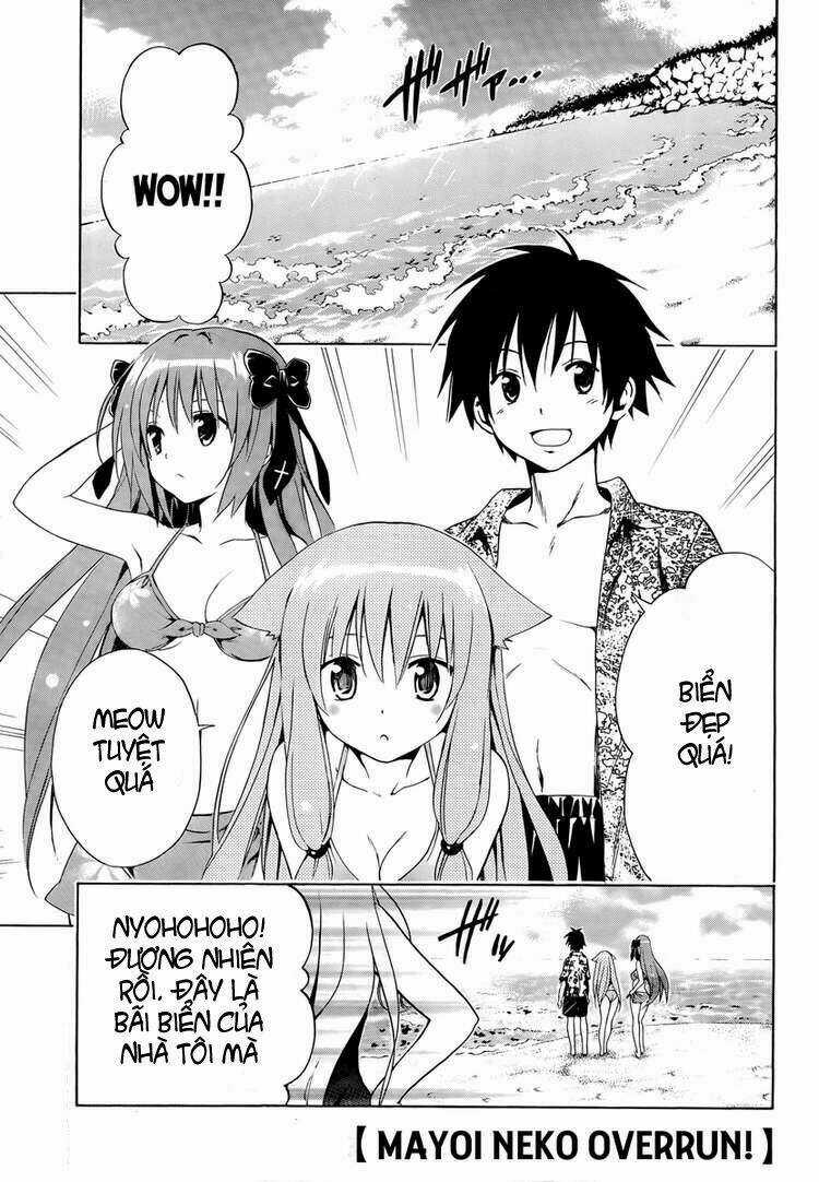 Mayoi Neko Overrun! Chapter 4 trang 3
