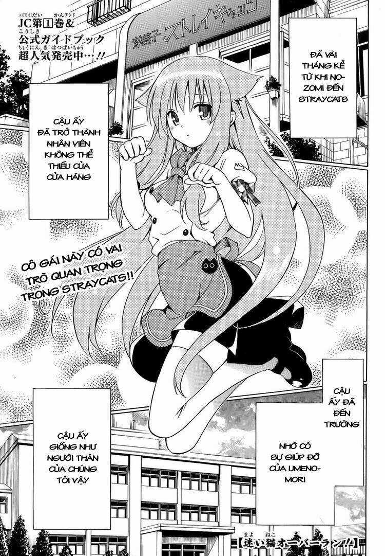 Mayoi Neko Overrun! Chapter 6 trang 2