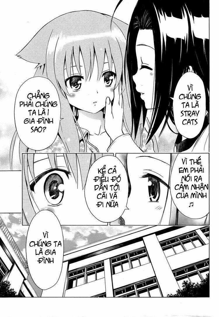 Mayoi Neko Overrun! Chapter 6 trang 30