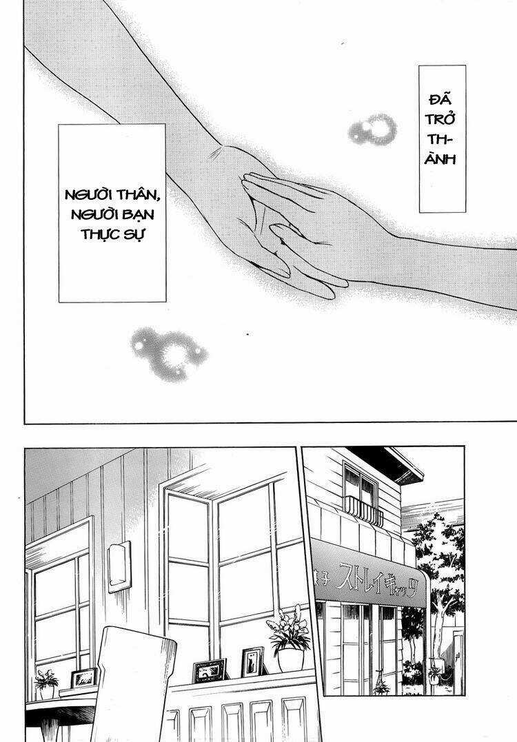 Mayoi Neko Overrun! Chapter 6 trang 41