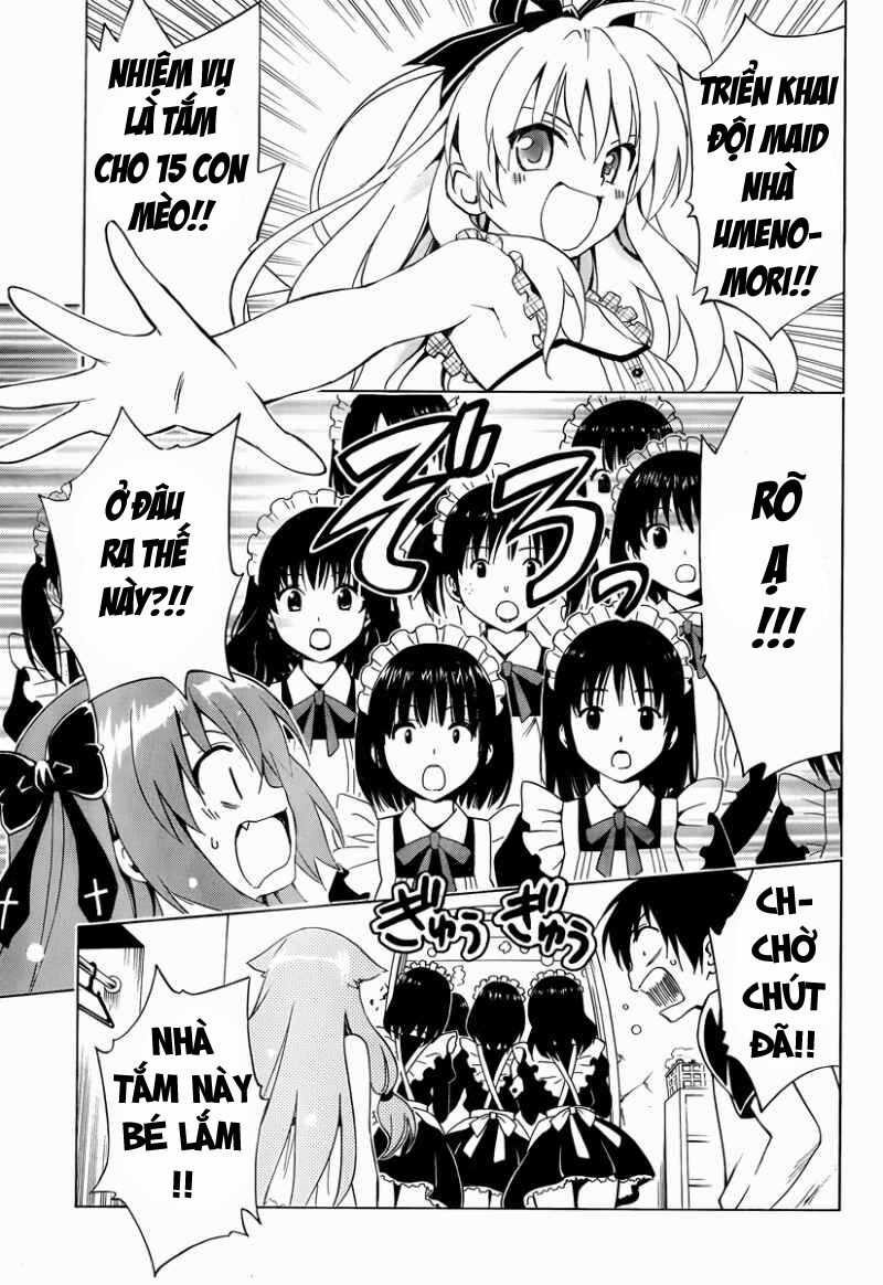 Mayoi Neko Overrun! Chapter 7 trang 11
