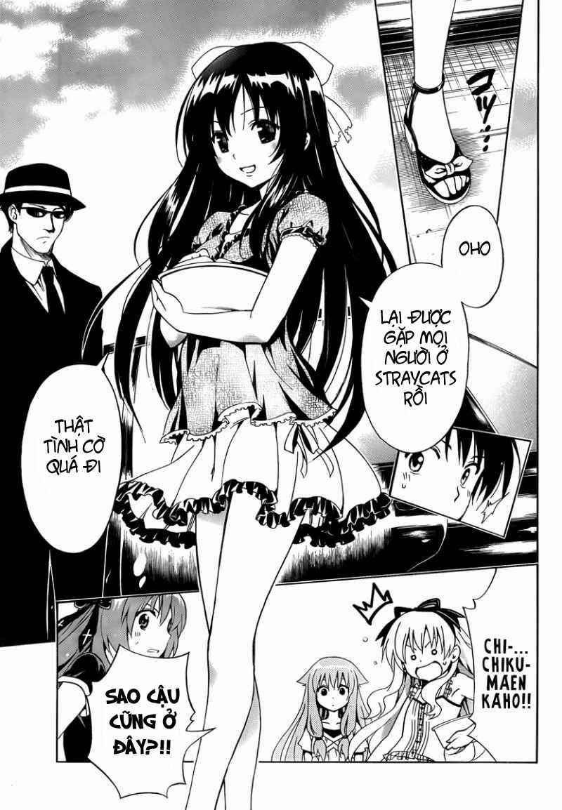 Mayoi Neko Overrun! Chapter 7 trang 19