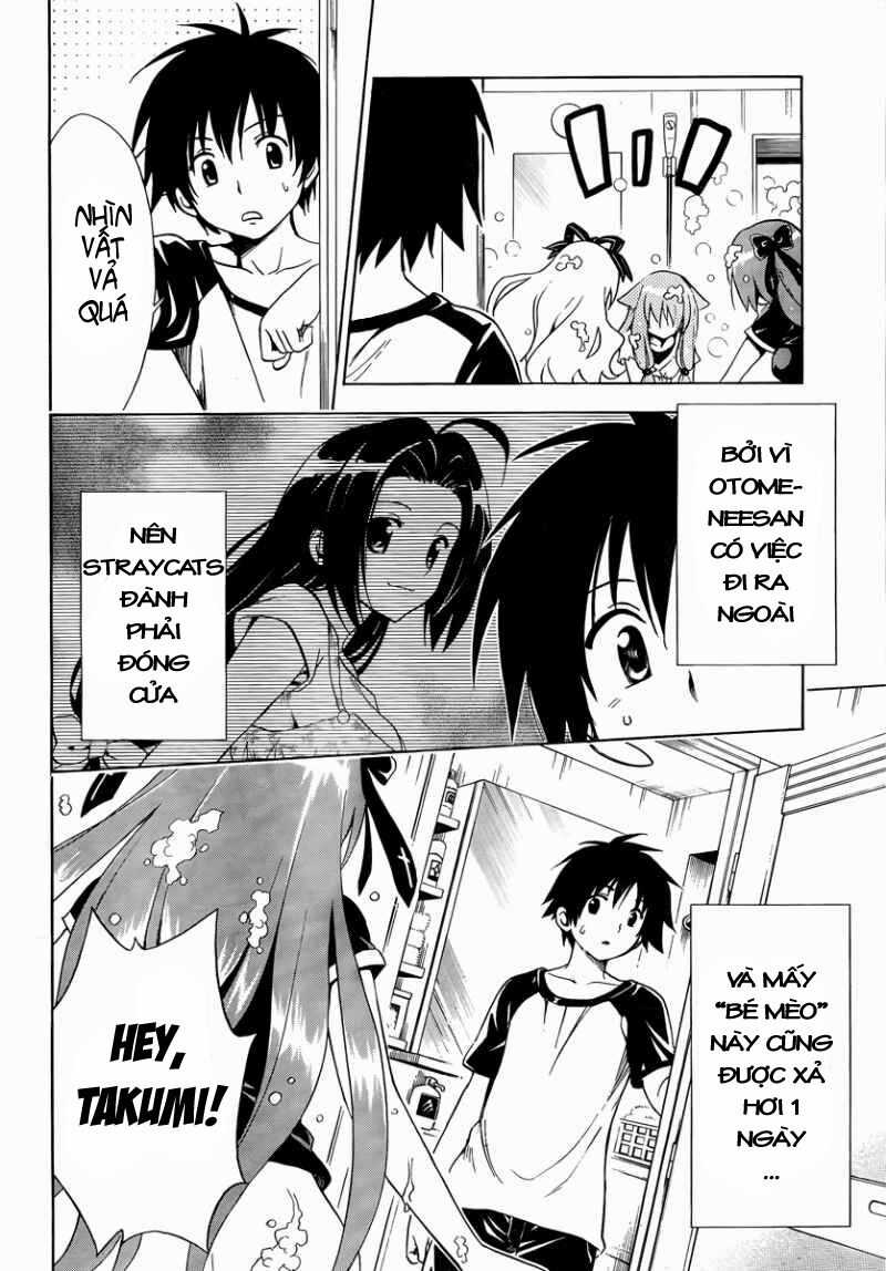 Mayoi Neko Overrun! Chapter 7 trang 6
