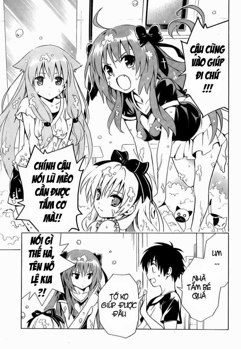 Mayoi Neko Overrun! Chapter 7 trang 7