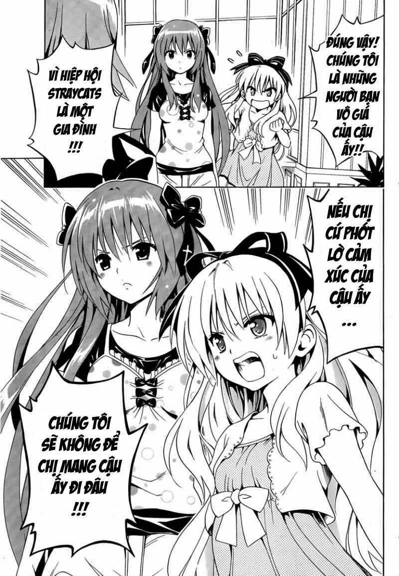 Mayoi Neko Overrun! Chapter 8 trang 16