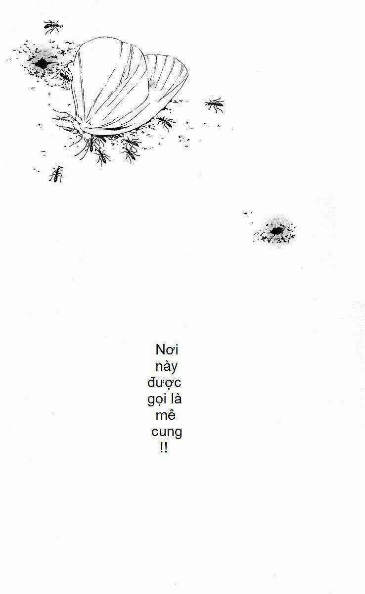 Mayonaka No Ariadone Chapter 1 trang 2