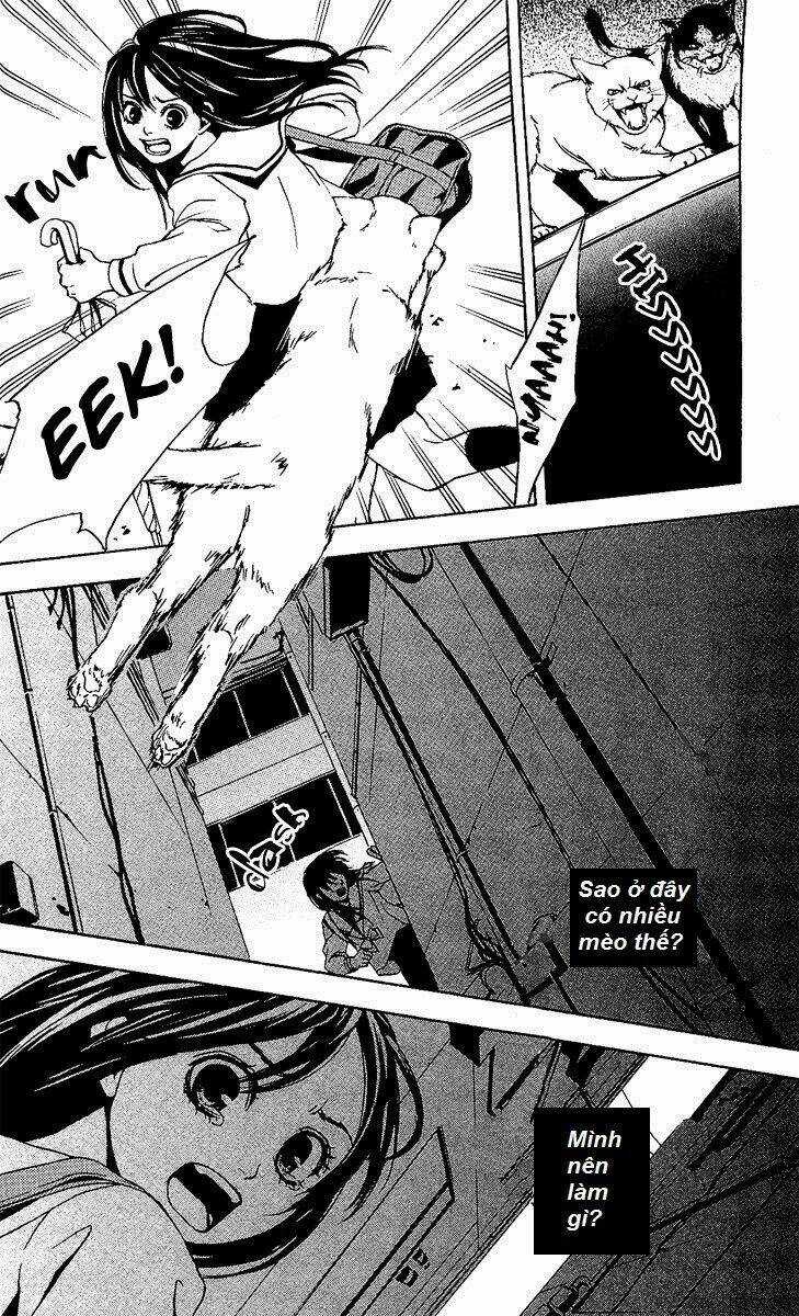 Mayonaka No Ariadone Chapter 1 trang 41