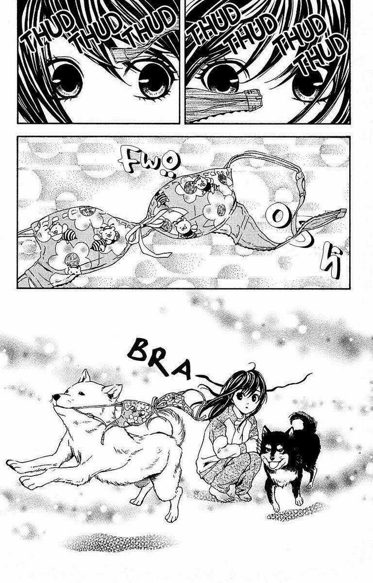 Mayonaka No Ariadone Chapter 11 trang 5