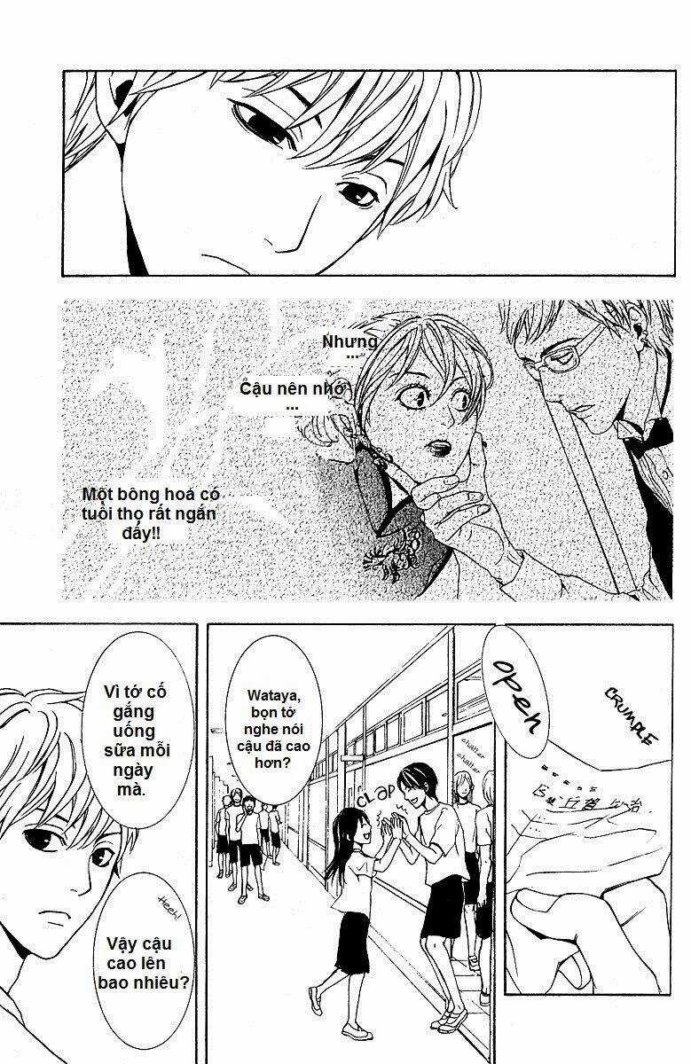 Mayonaka No Ariadone Chapter 2 trang 25