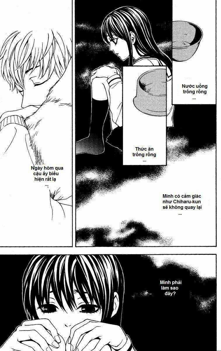 Mayonaka No Ariadone Chapter 5 trang 11