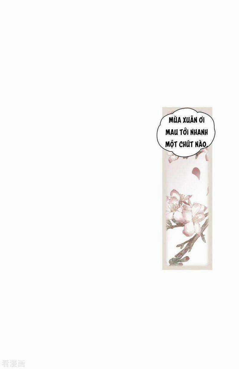 Mejaz - Nhân Gian Ngọc Chapter 131 trang 4