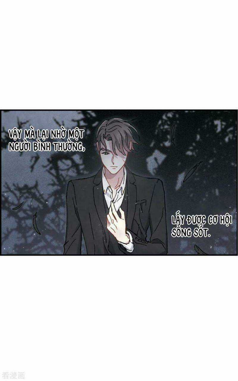 Mejaz - Nhân Gian Ngọc Chapter 135 trang 18