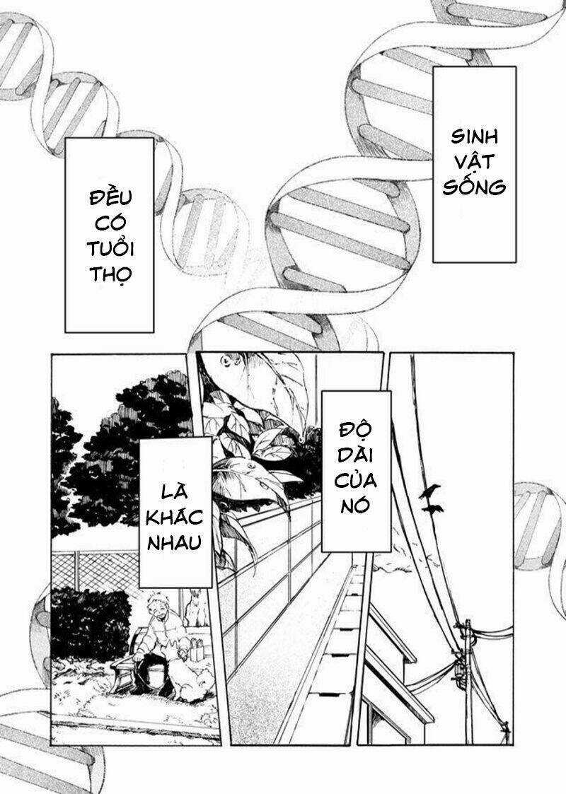 Memento Memori Chapter 1 trang 3