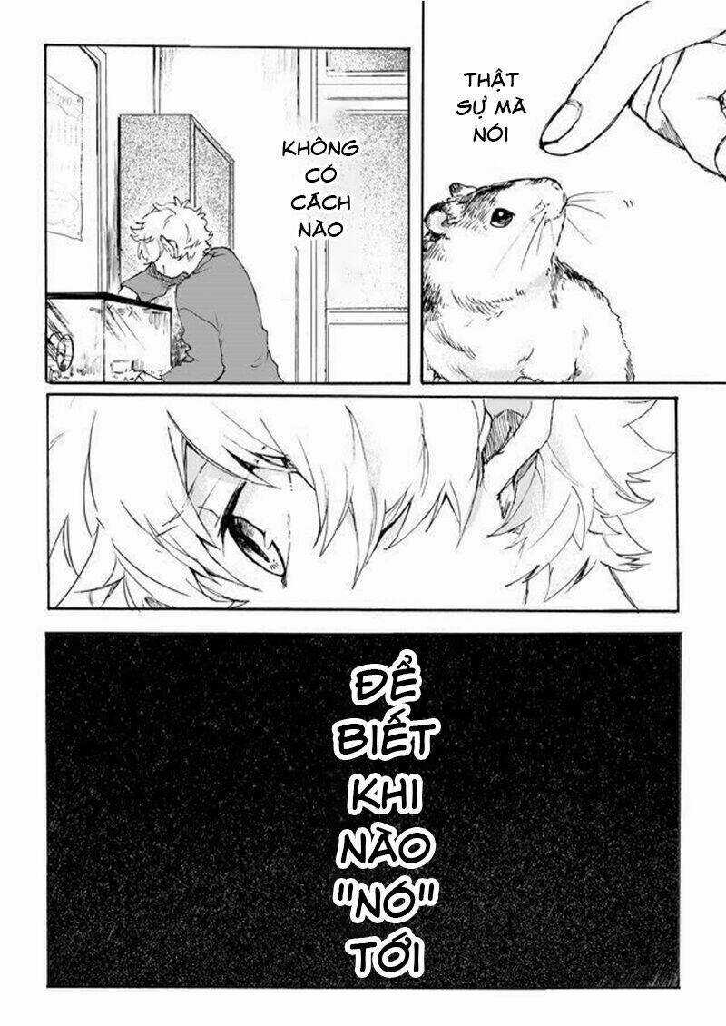 Memento Memori Chapter 1 trang 4