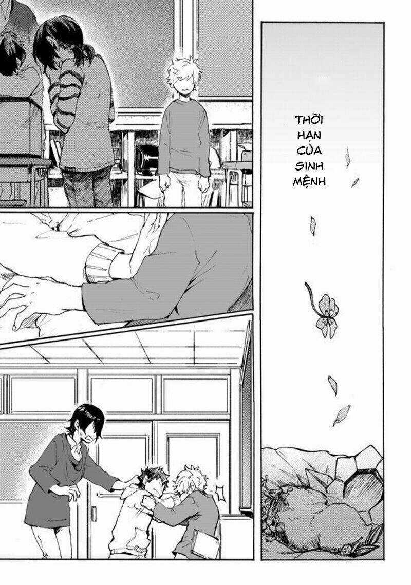 Memento Memori Chapter 1 trang 5