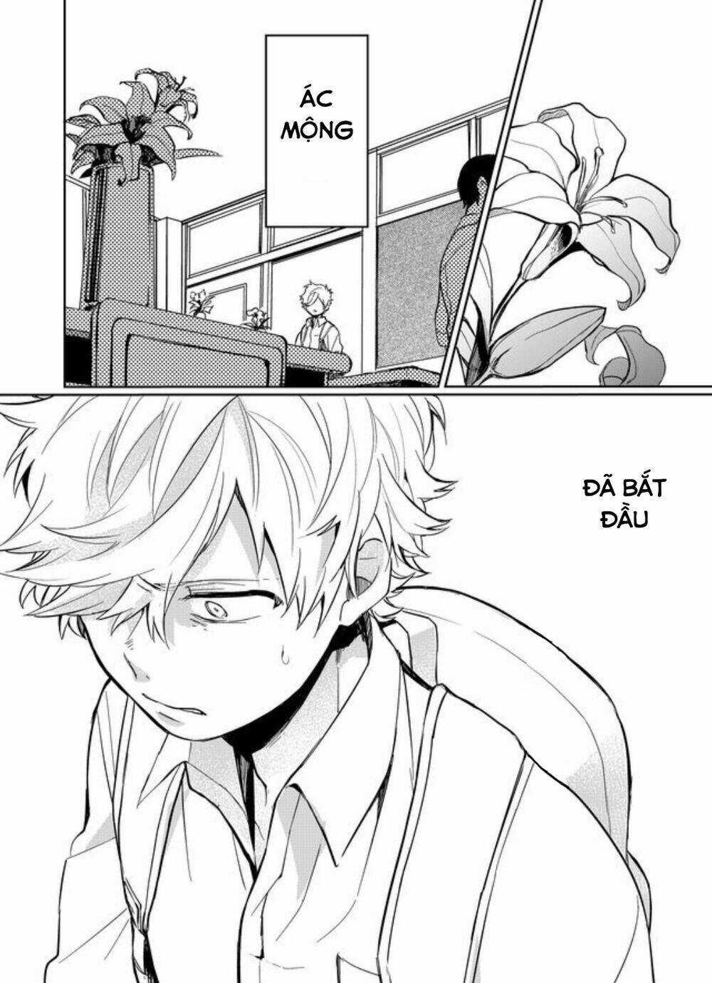 Memento Memori Chapter 12 trang 4