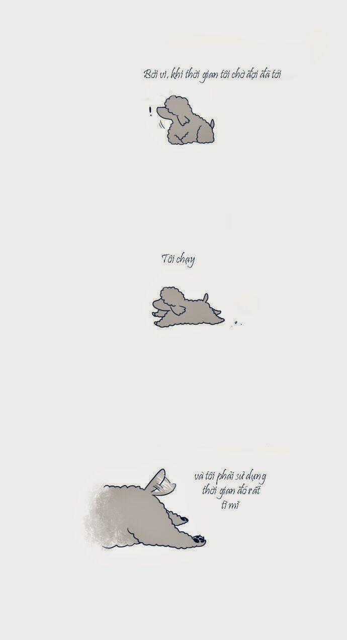 Mèo Con Và Chú Chó Già Của Tôi Chapter 6 trang 2