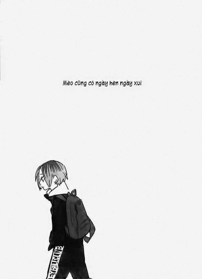 Mèo cũng có ngày hên ngày xui Chapter 1 trang 2