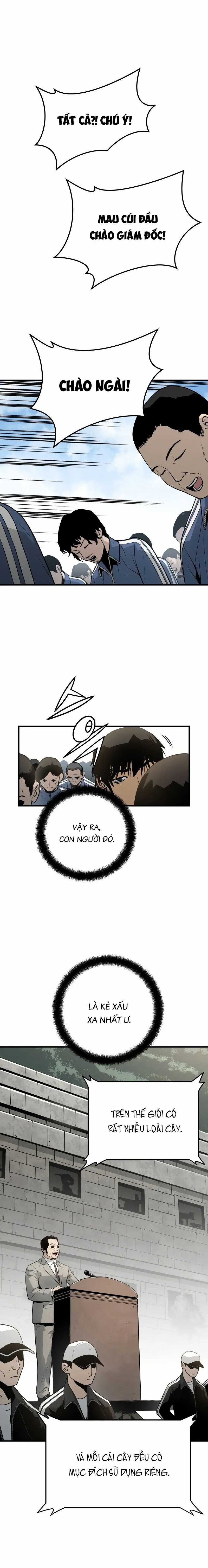 Merchiless Chapter 5 trang 12