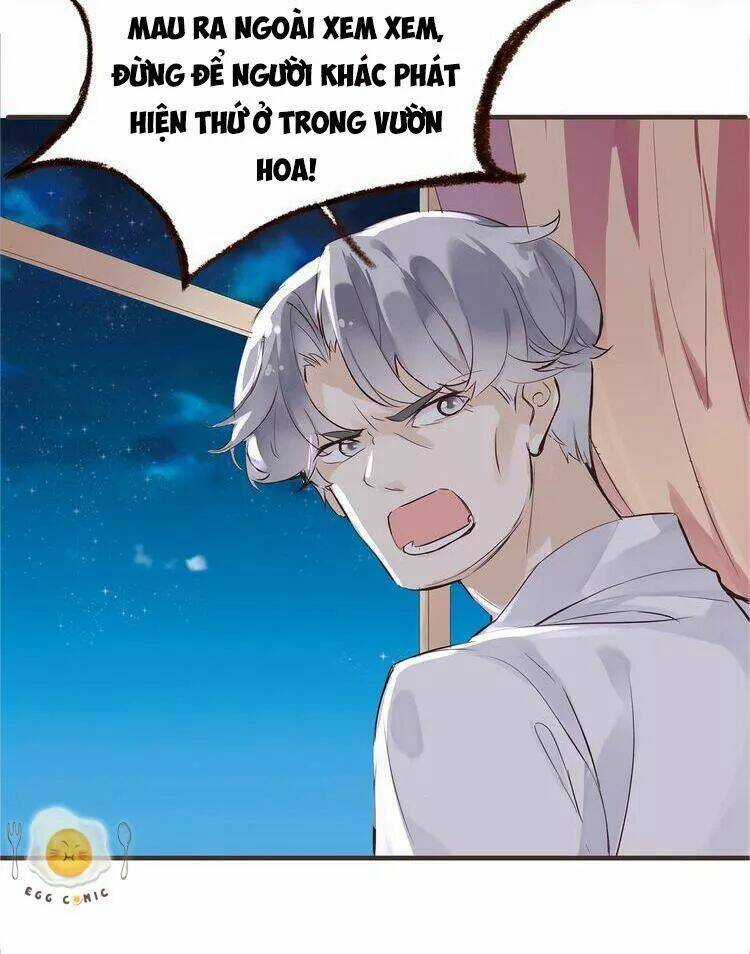 Metal Gear Solid - Vũ Trang Nguyên Kim Chapter 45 trang 7