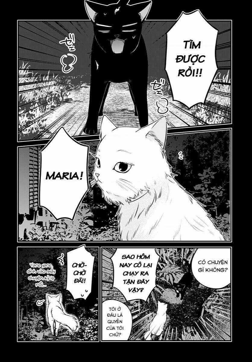 Mi-Chan Wa Kawaretai Chapter 6 trang 13
