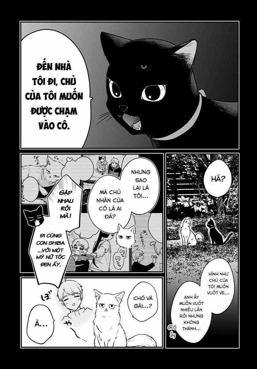 Mi-Chan Wa Kawaretai Chapter 6 trang 14