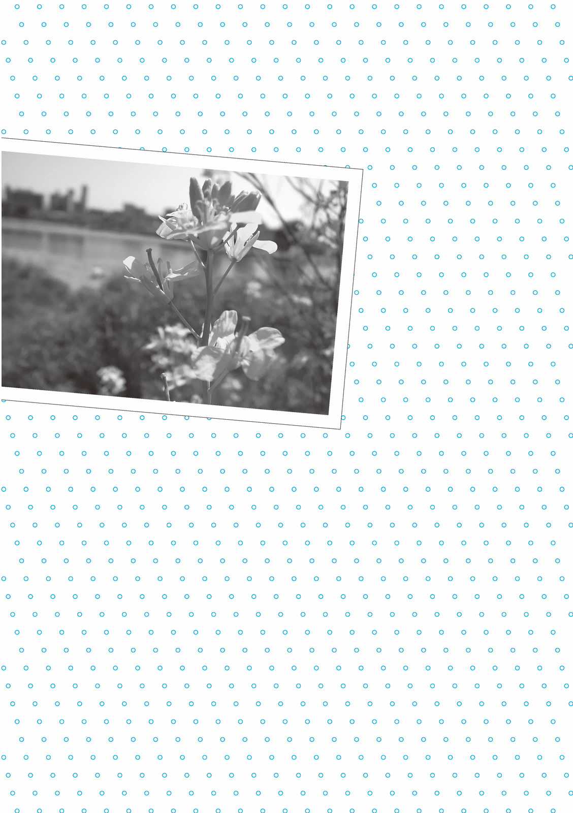 Mikako-San Chapter 24 trang 5