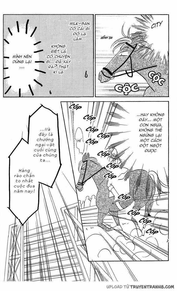 Milk To Vitamin Chapter 5 trang 31