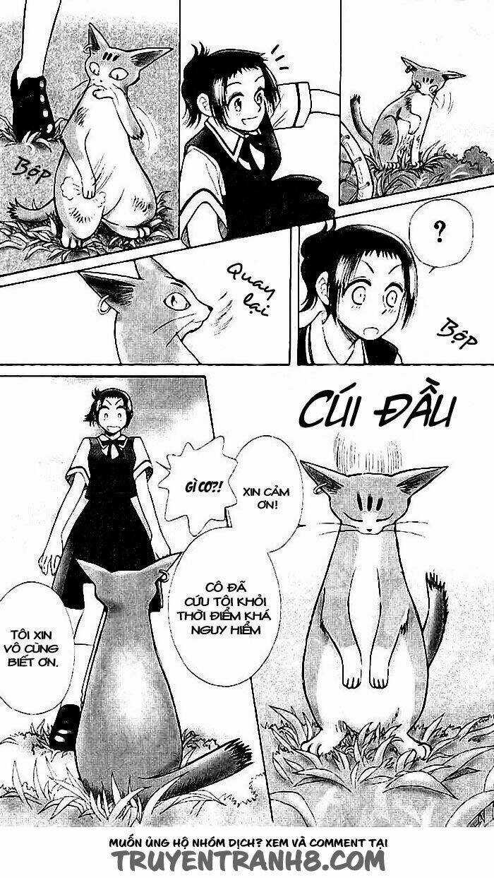 Mimi Wo Sumaseba - Lời Thì Thầm Từ Trái Tim Chapter 6 trang 13