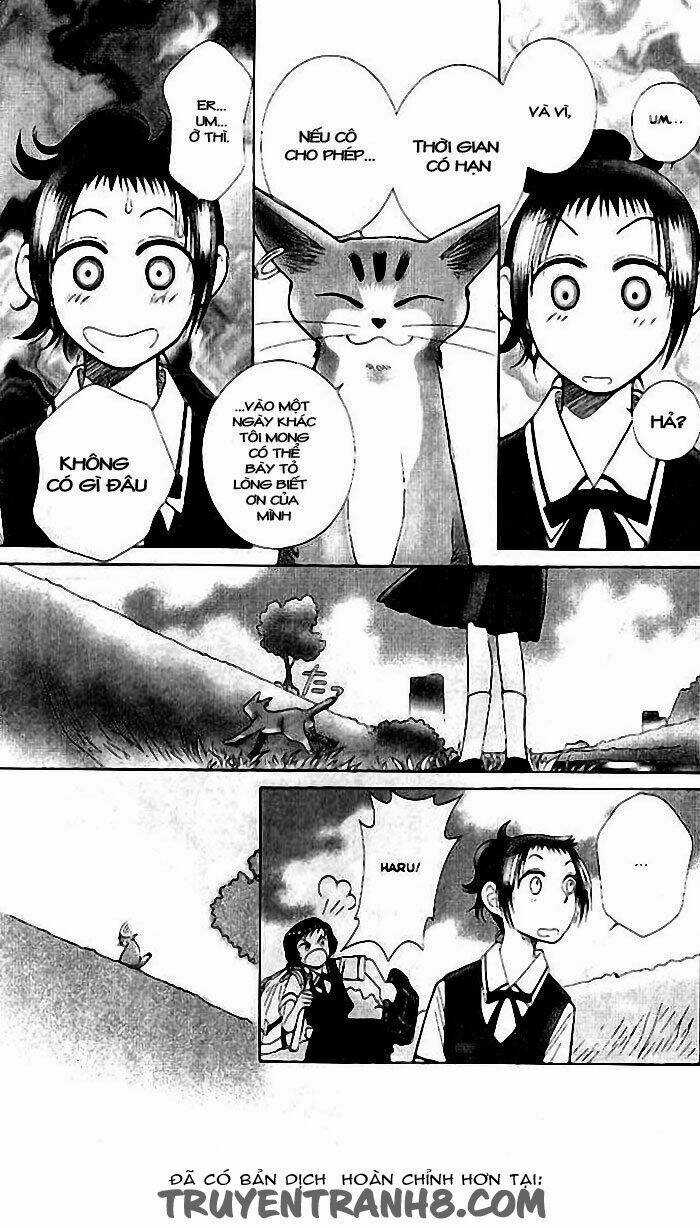 Mimi Wo Sumaseba - Lời Thì Thầm Từ Trái Tim Chapter 6 trang 14