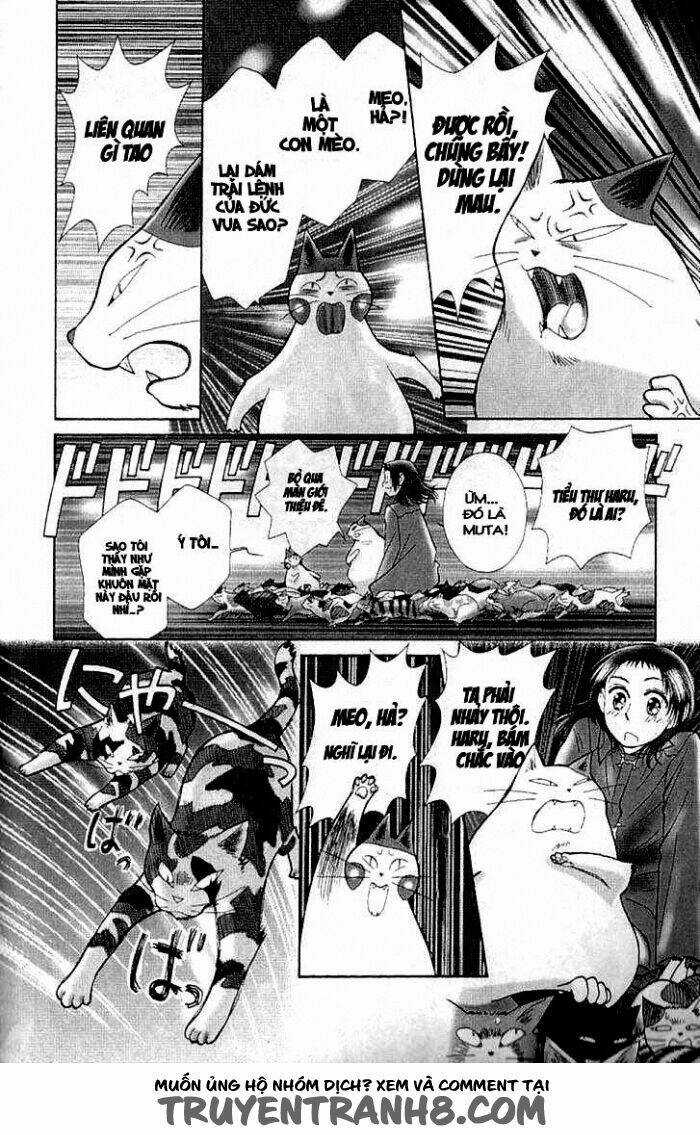 Mimi Wo Sumaseba - Lời Thì Thầm Từ Trái Tim Chapter 7 trang 41