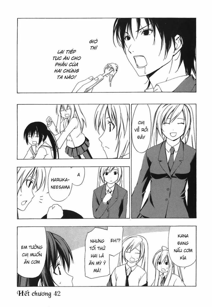 Minami-Ke Chapter 42 trang 11