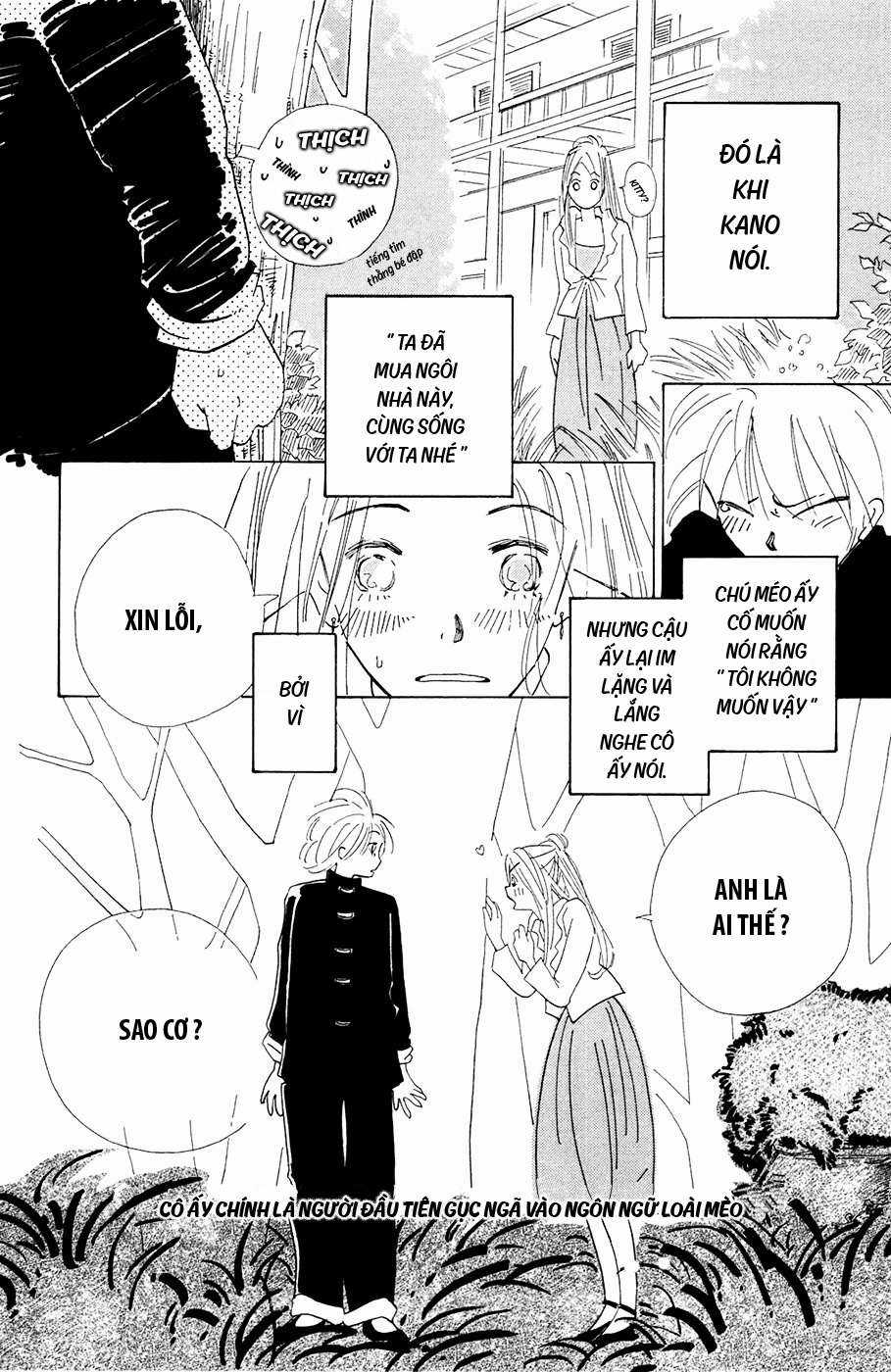 Minato Machi Neko Machi Chapter 1 trang 20
