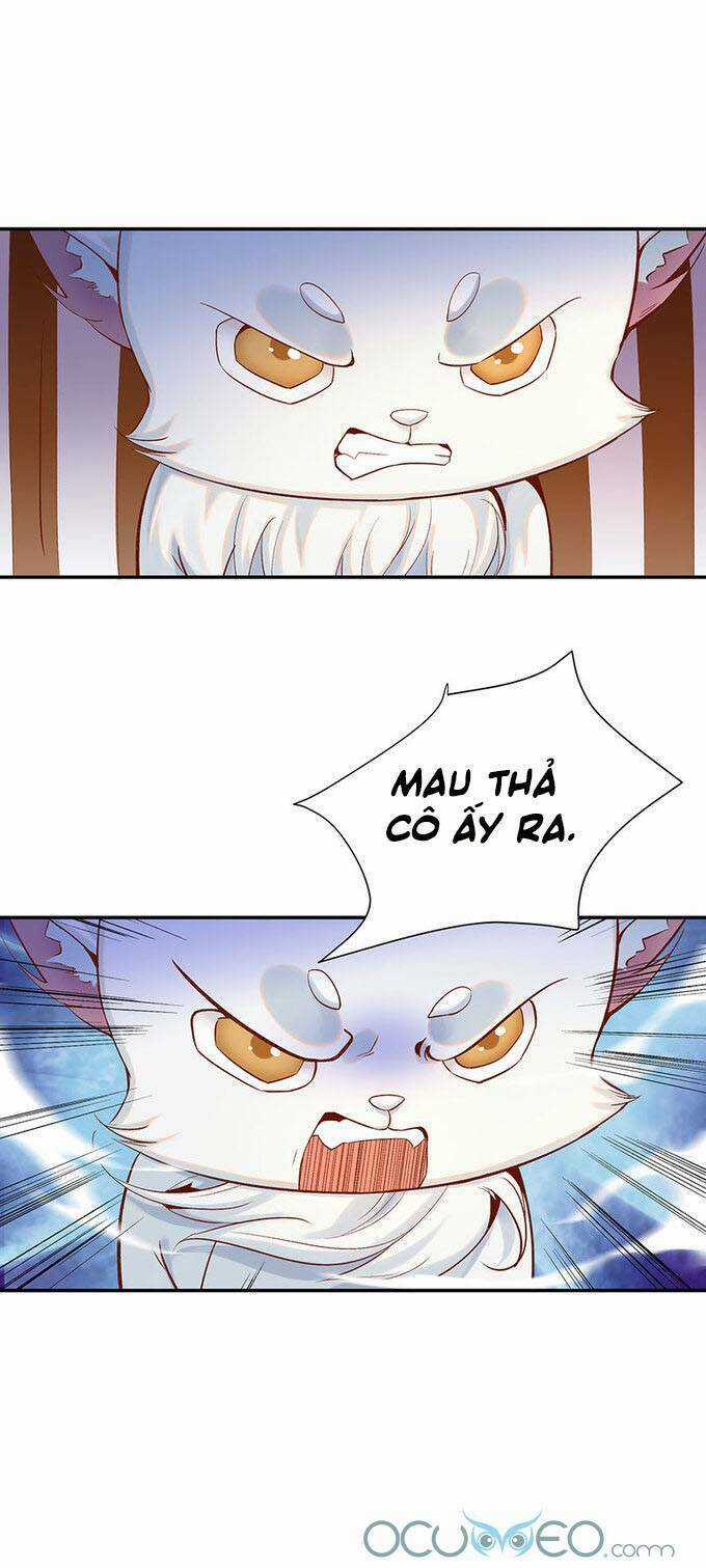 Minh Đế Độc Sủng Âm Dương Phi Chapter 19 trang 16