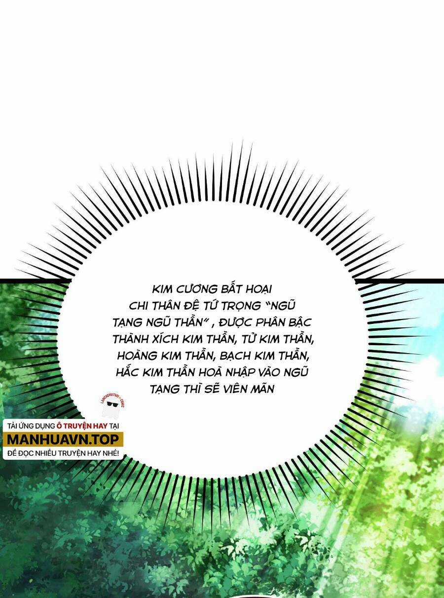 Mình Ta Thôn Phệ Thiên Địa Chapter 5 trang 12