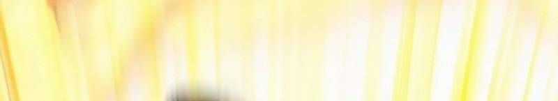 Mình Tao Là Siêu Việt Giả Mạnh Nhất! Chapter 18 trang 1008