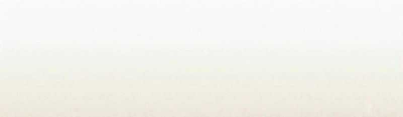 Mình Tao Là Siêu Việt Giả Mạnh Nhất! Chapter 19 trang 280