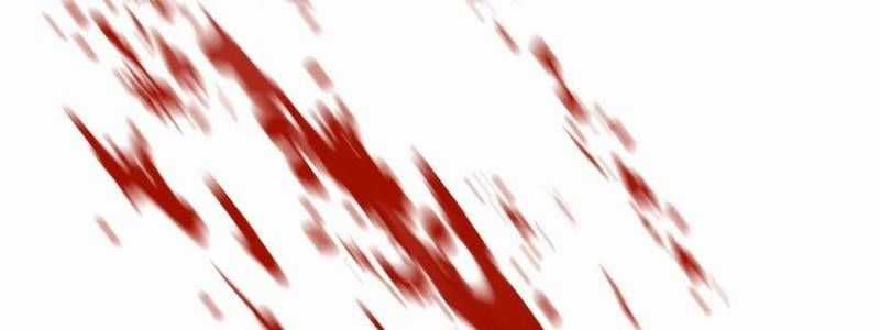 Mình Tao Là Siêu Việt Giả Mạnh Nhất! Chapter 23 trang 558