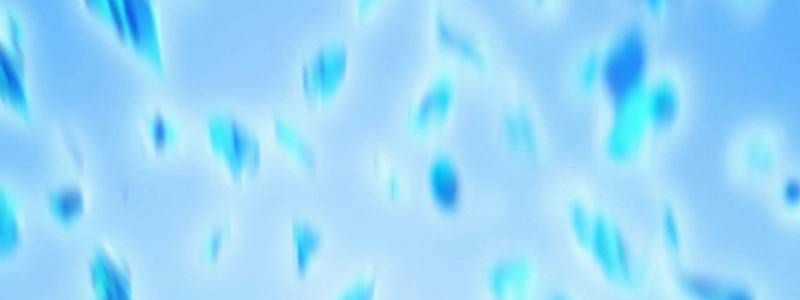 Mình Tao Là Siêu Việt Giả Mạnh Nhất! Chapter 23 trang 675